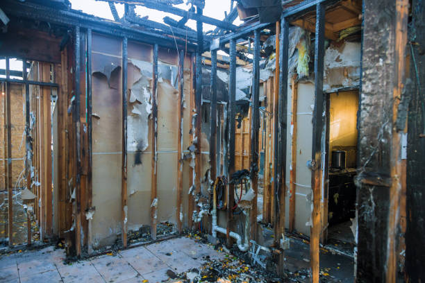 Professional Smoke Damage Removal technician working in Eagle Point, AL